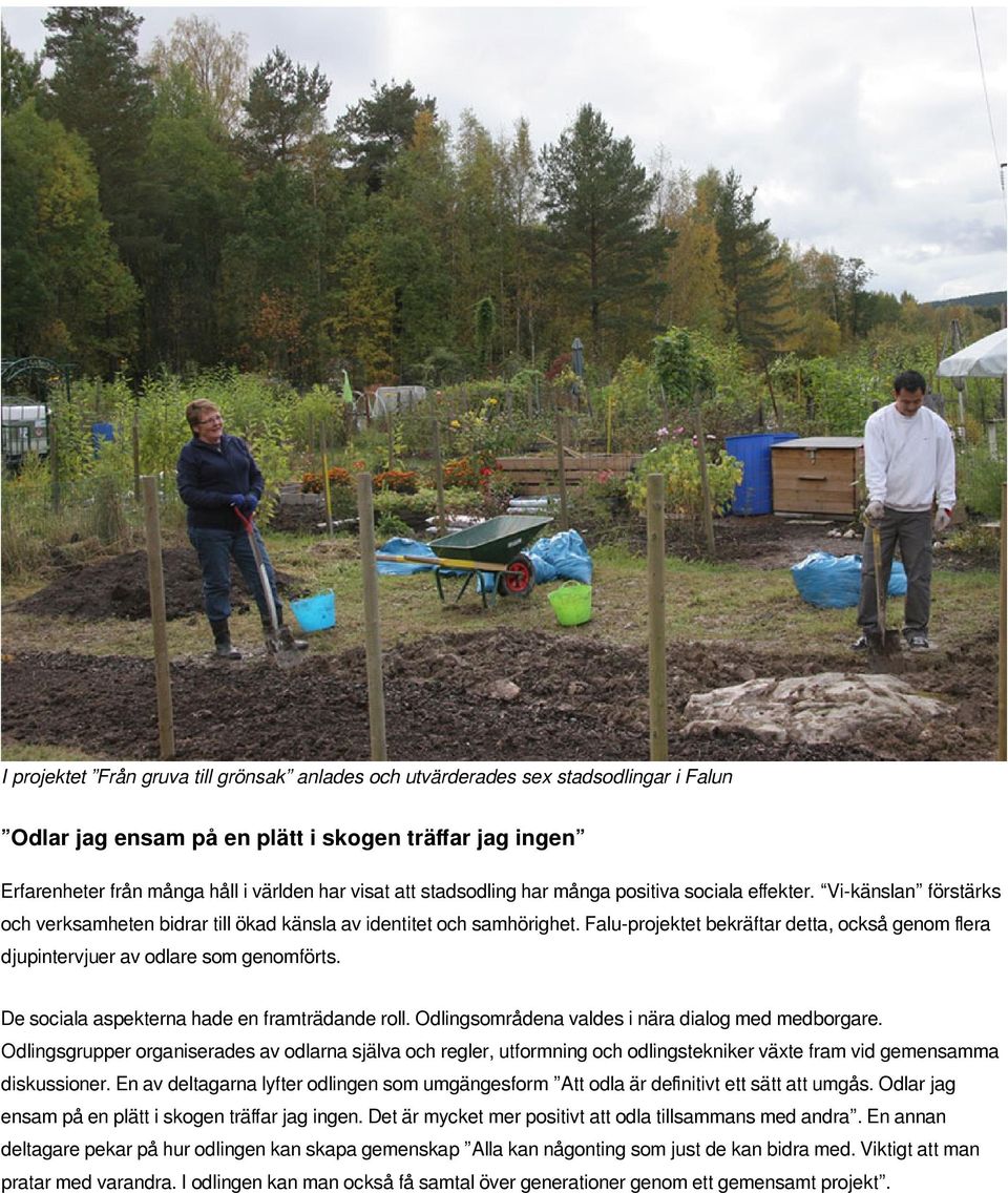 Falu-projektet bekräftar detta, också genom flera djupintervjuer av odlare som genomförts. De sociala aspekterna hade en framträdande roll. Odlingsområdena valdes i nära dialog med medborgare.