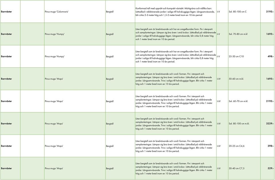 80-100 cm C 3195:- Barrväxter Pinus mugo 'Humpy' Bergtall Liten bergtall som är bredväxande och har en oregelbunden form. Fin i stenparti och samplanteringar. Lämpar sig bra även i små krukor.