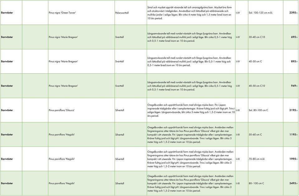 2395:- Barrväxter Pinus nigra 'Marie Bregeon' Svarttall Långsamväxande tall med rundat växtsätt och långa ljusgröna barr. Användbar och lättodlad på väldränerad mullrik jord i soligt läge.