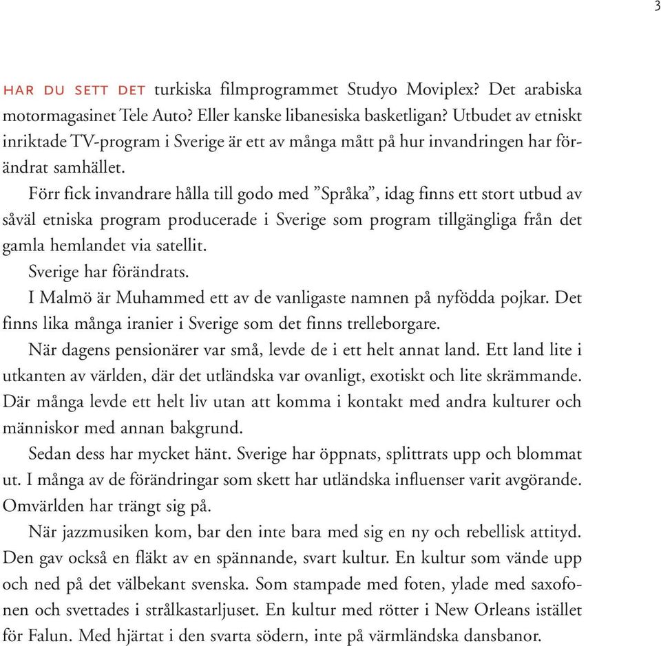 Förr fick invandrare hålla till godo med Språka, idag finns ett stort utbud av såväl etniska program producerade i Sverige som program tillgängliga från det gamla hemlandet via satellit.
