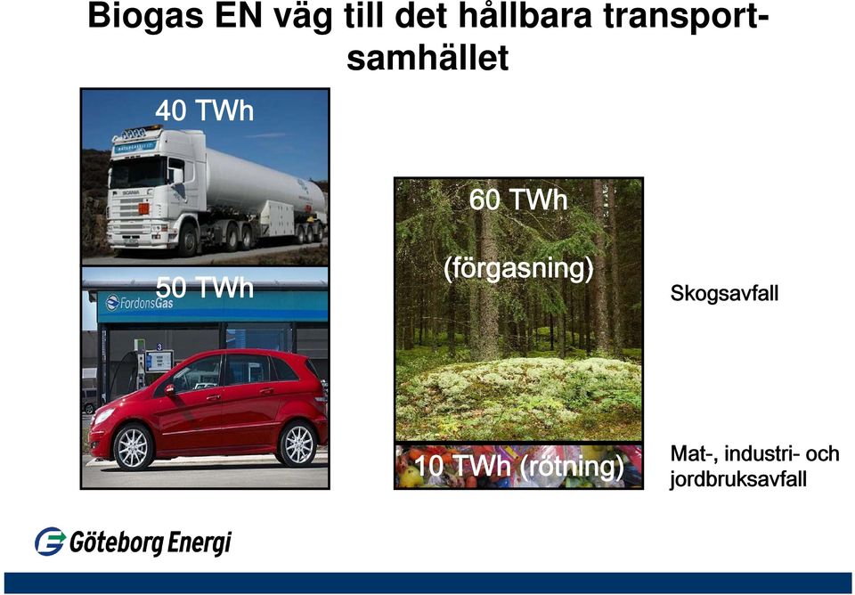 60 TWh (förgasning) Skogsavfall 10 TWh
