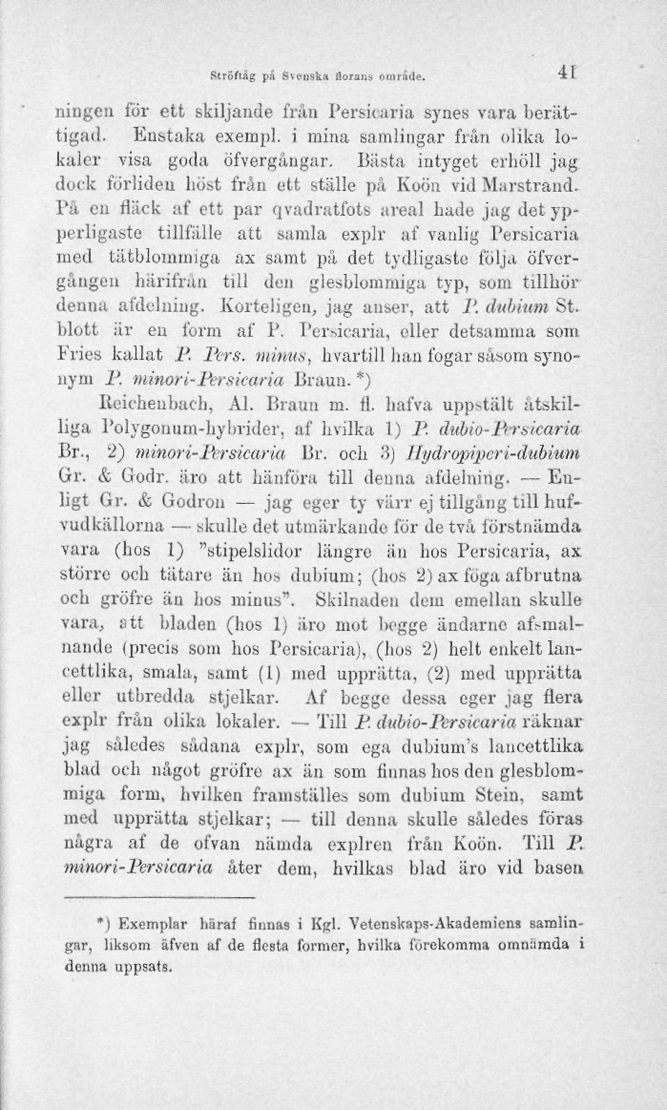 På en fläck af ett par qvadratfots areal hade jag det ypperligaste tillfälle att samla explr af vanlig Persicaria med tätbloinmiga ax samt på det tydligaste följa offergången härifrån till den