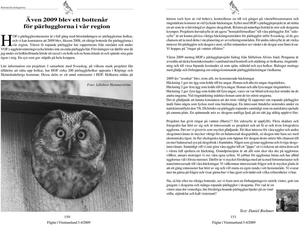 Ytterst få ropande pärlugglor har rapporterats från området och under VOF:s uggleinventeringsvecka hördes inte en enda pärluggla här.