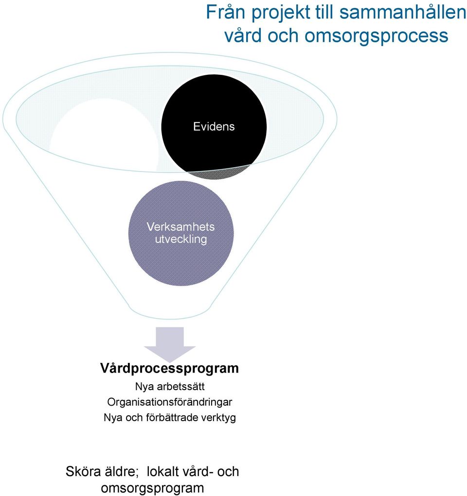 utveckling Vårdprocessprogram Nya arbetssätt