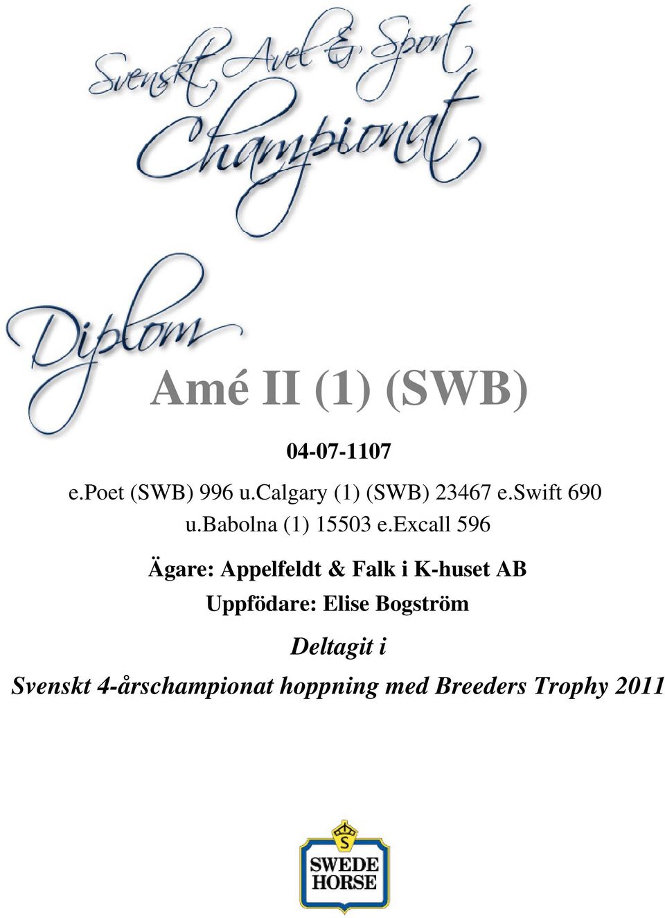 swift 690 u.babolna (1) 15503 e.