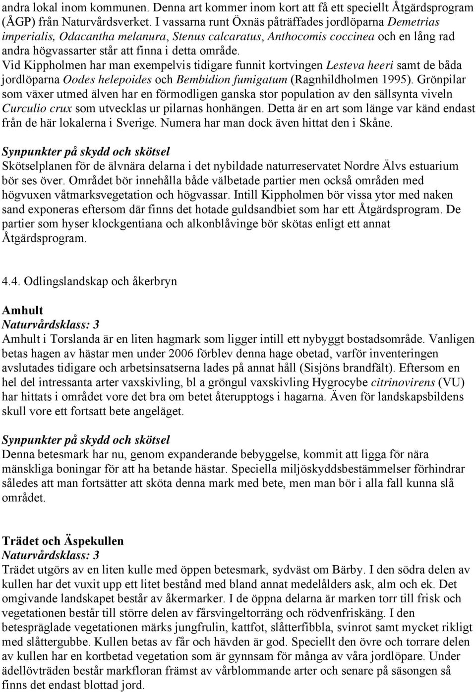 Vid Kippholmen har man exempelvis tidigare funnit kortvingen Lesteva heeri samt de båda jordlöparna Oodes helepoides och Bembidion fumigatum (Ragnhildholmen 1995).