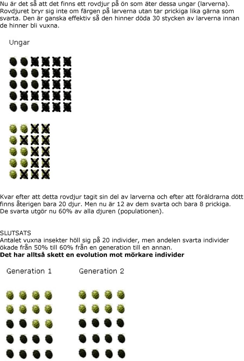 Kvar efter att detta rovdjur tagit sin del av larverna och efter att föräldrarna dött finns återigen bara 20 djur. Men nu är 12 av dem svarta och bara 8 prickiga.