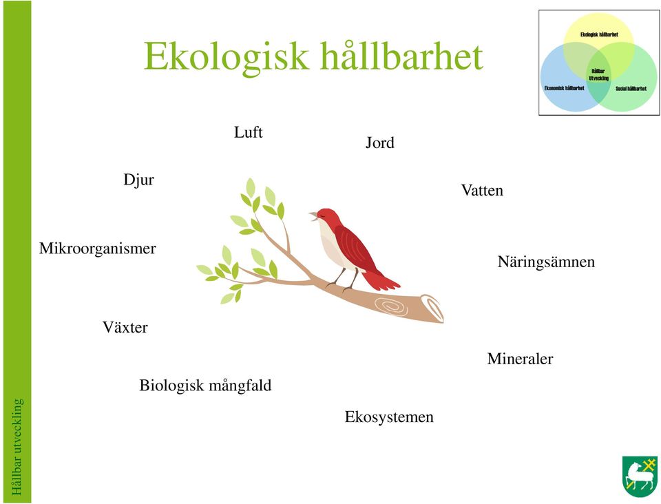 Näringsämnen Växter Biologisk