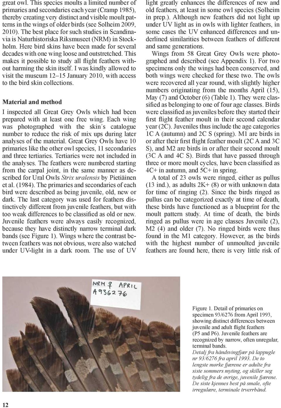 2010). The best place for such studies in Scandinavia is Naturhistoriska Riksmuseet (NRM) in Stockholm. Here bird skins have been made for several decades with one wing loose and outstretched.