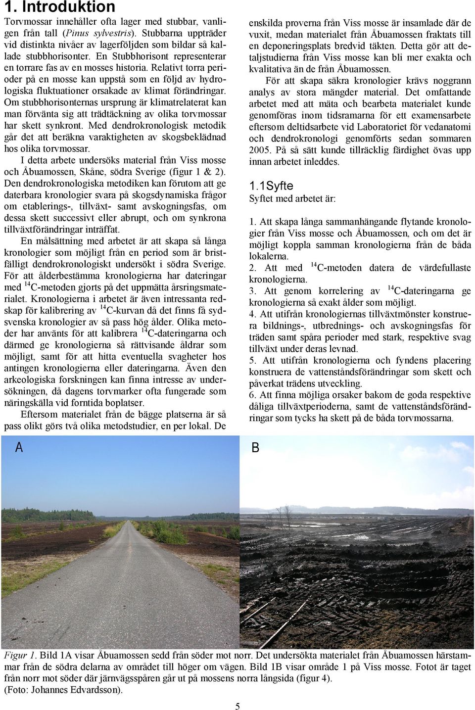 Om stubbhorisonternas ursprung är klimatrelaterat kan man förvänta sig att trädtäckning av olika torvmossar har skett synkront.