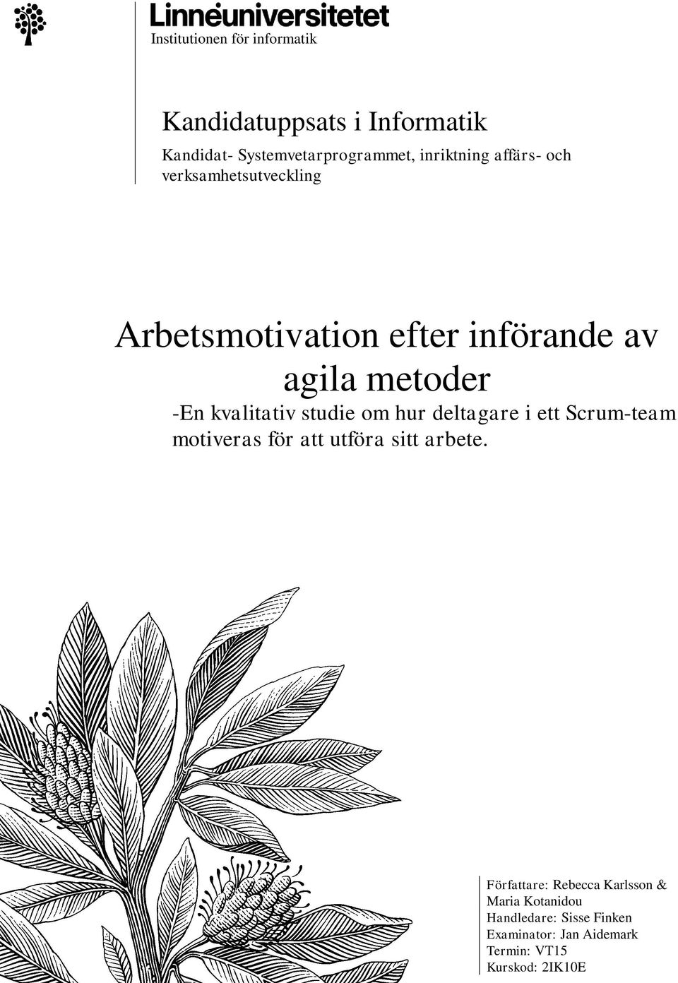 studie om hur deltagare i ett Scrum-team motiveras för att utföra sitt arbete.