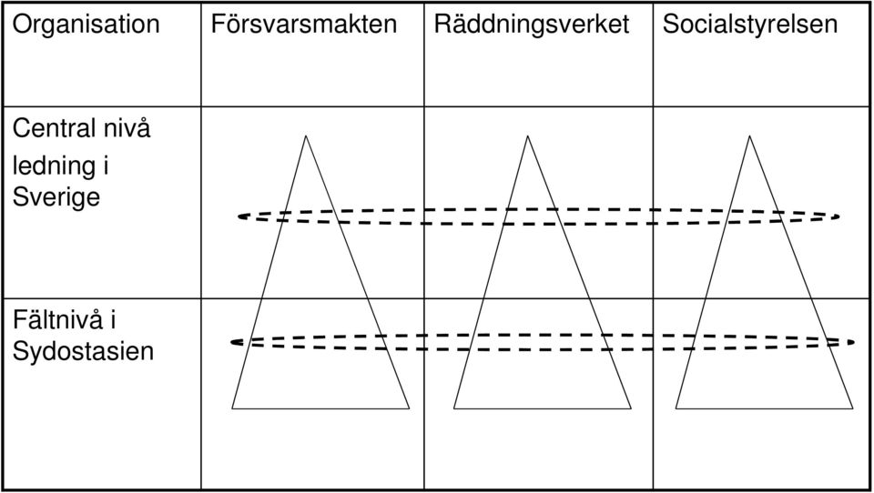 Socialstyrelsen Central nivå