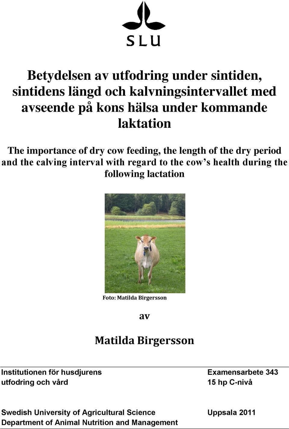 health during the following lactation Foto: Matilda Birgersson av Matilda Birgersson Institutionen för husdjurens Examensarbete