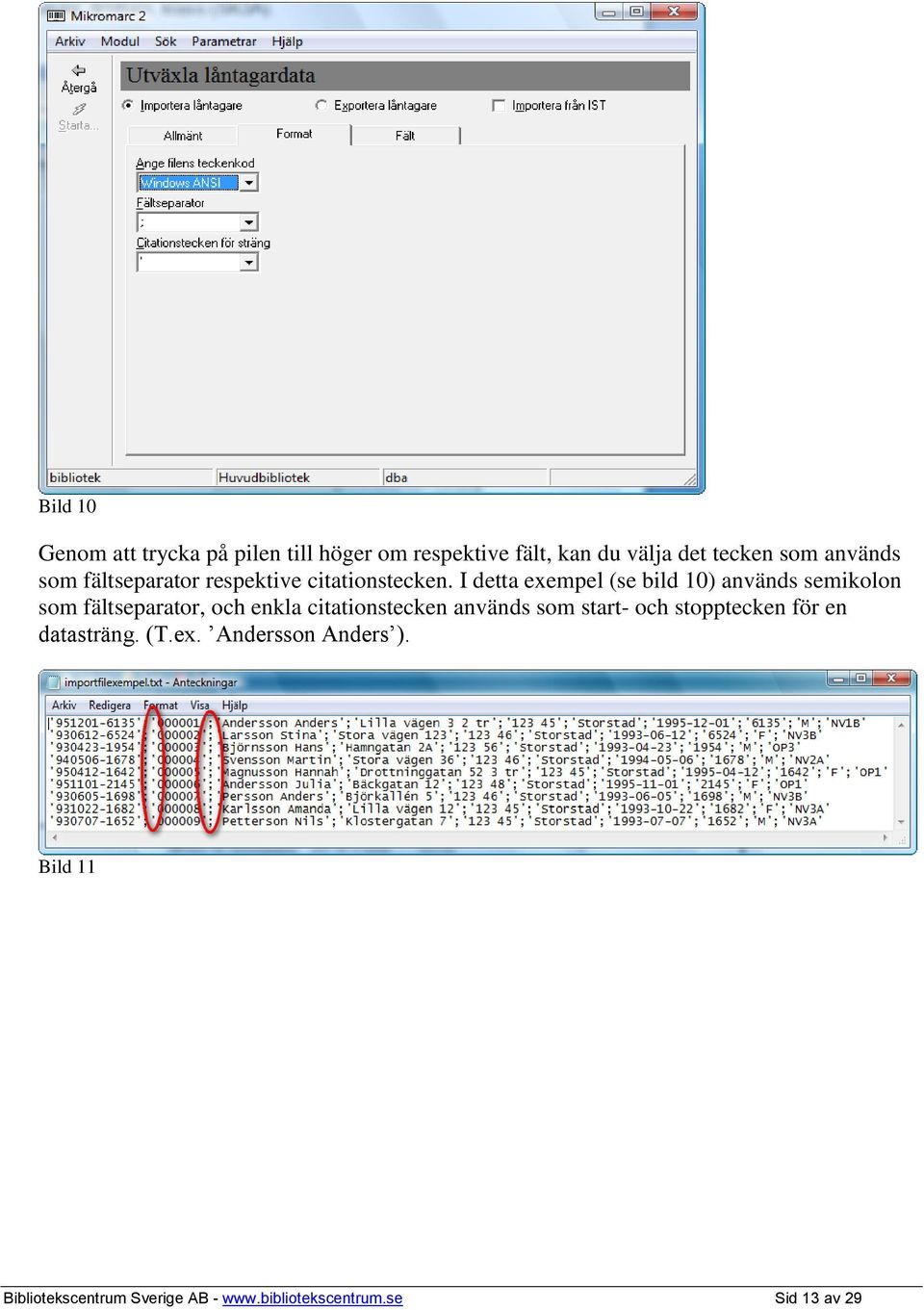 I detta exempel (se bild 10) används semikolon som fältseparator, och enkla citationstecken