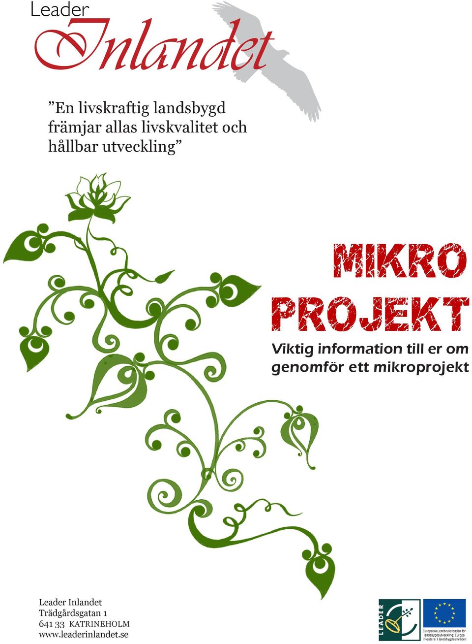 information till er om genomför ett mikroprojekt