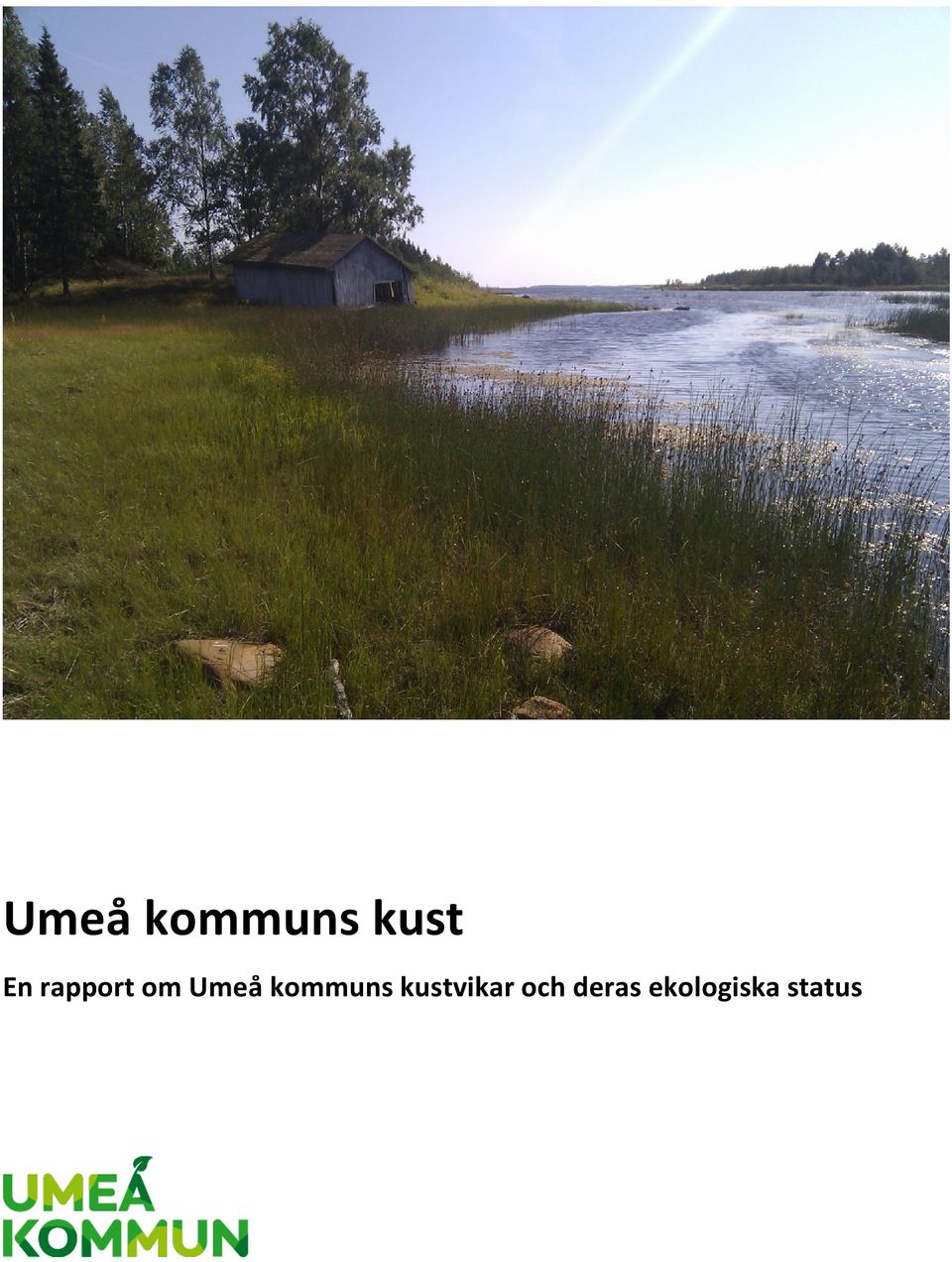 kustvikar och