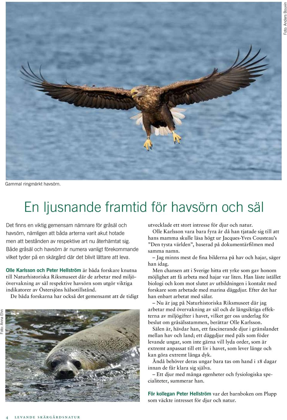nu återhämtat sig. Både gråsäl och havsörn är numera vanligt förekommande vilket tyder på en skärgård där det blivit lättare att leva.