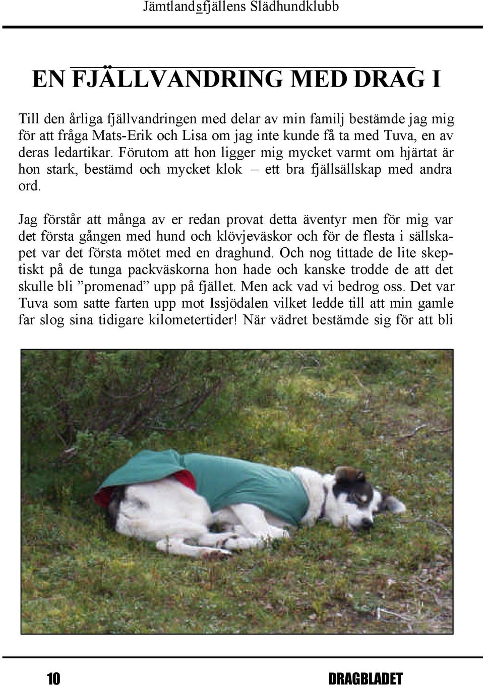 Jag förstår att många av er redan provat detta äventyr men för mig var det första gången med hund och klövjeväskor och för de flesta i sällskapet var det första mötet med en draghund.