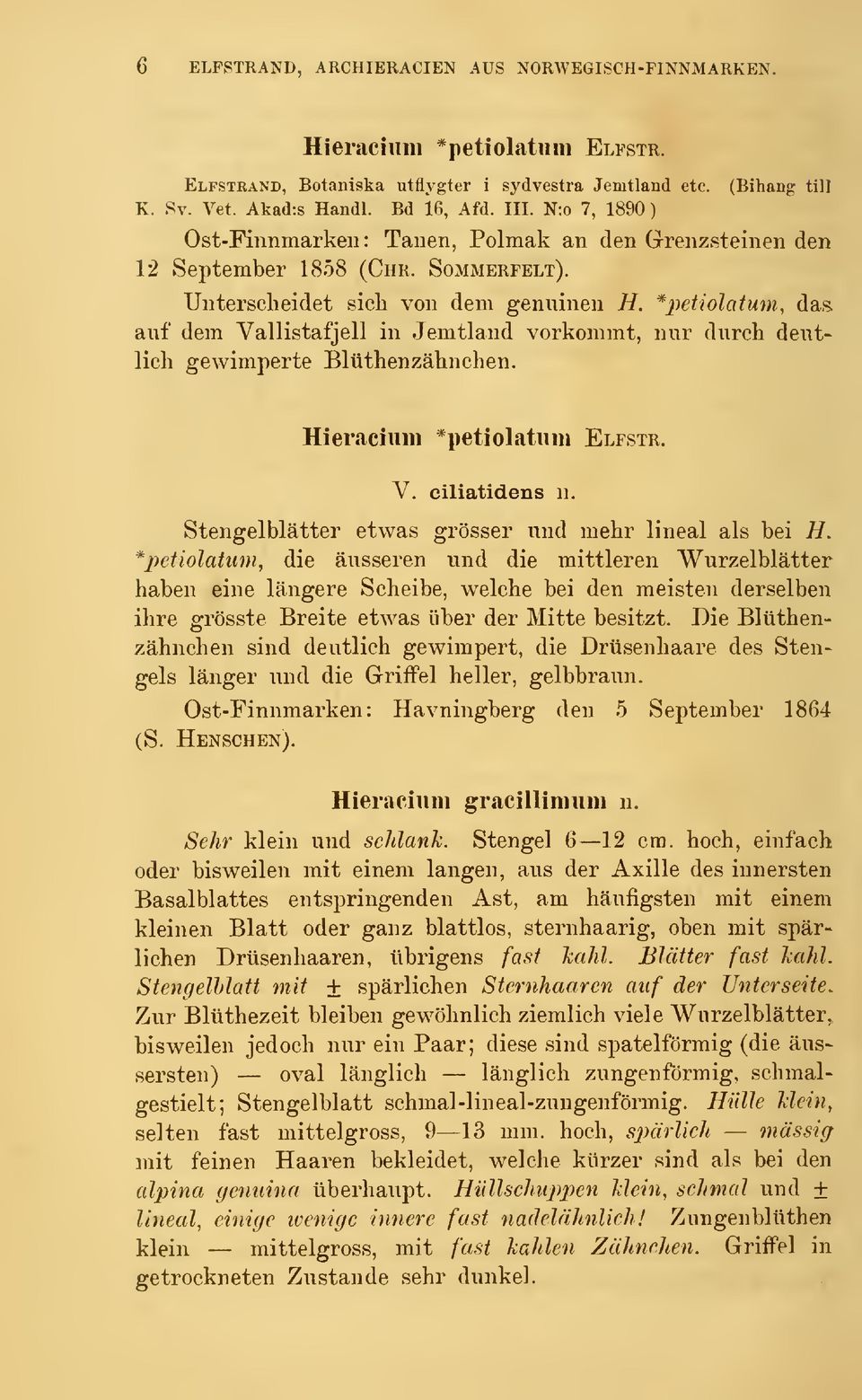 auf dem Vallistafjell in Jemtland vorkommt, nur durch deutlich gewimperte Bltithenzälinchen. Hieraciiim *i)etiolatiini Elfstr, V. ciliatidens n. Stengelblätter etwas grösser und mehr lineal als bei H.