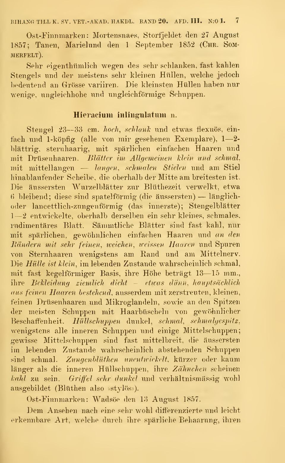Die kleinsten Hullen haben nur wenige, ungleichliohe nnd ungleichförmige Sehuppen. Hieracium inliugulatiim n. Stengel 23 33 cm.