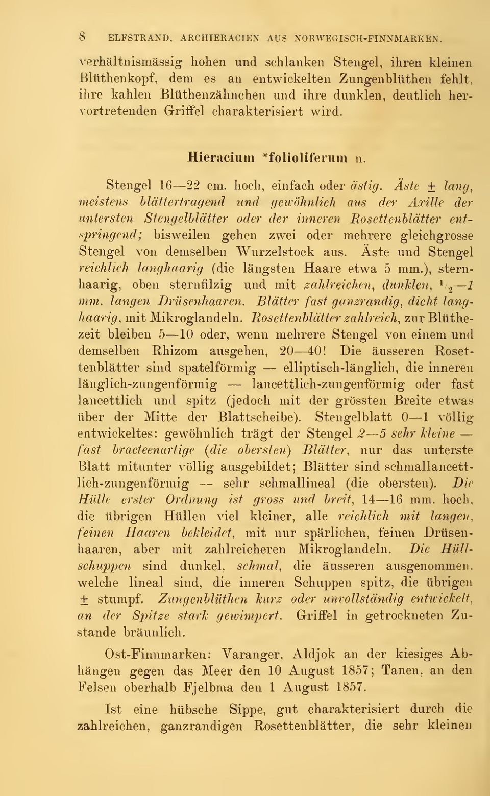 GrifFel charakterisiert wird. Hieraciuni *folioliferuiii n. Stengel 16 22 cm. lioch, einfach öder ästig.