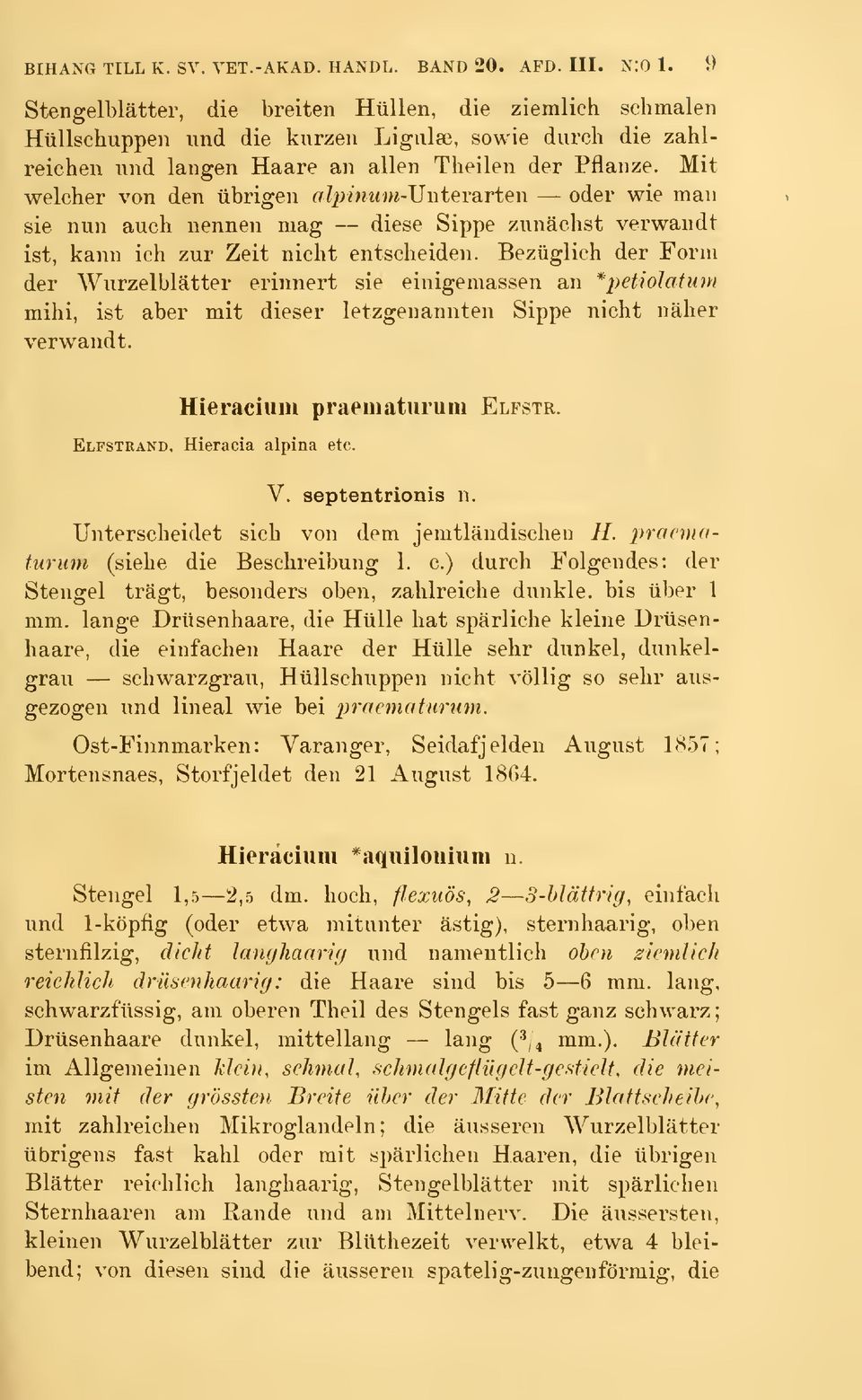 Mit welcher von den iibrigen alpinum-\jnteta.rten öder wie man sie nun auch nennen mag diese Sippe zunäehst verwandt ist, känn ich zur Zeit niclit entsclieiden.