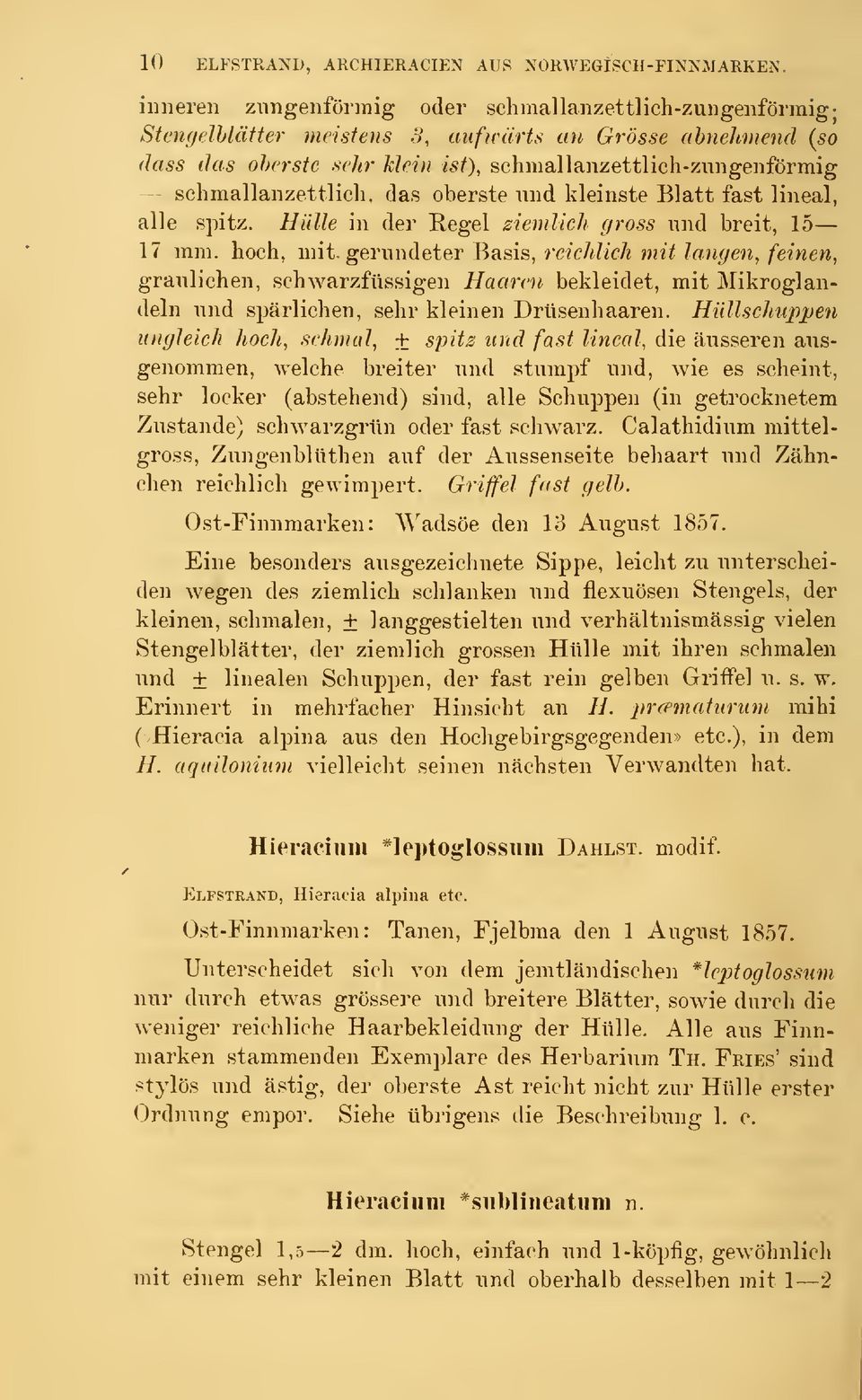 schmallanzettlich, das oberste und kleinste Blått fast lineal, alle spitz. Hillle in der Regel ziemlich gross nnd breit, 15 17 mm. hoch, mit.