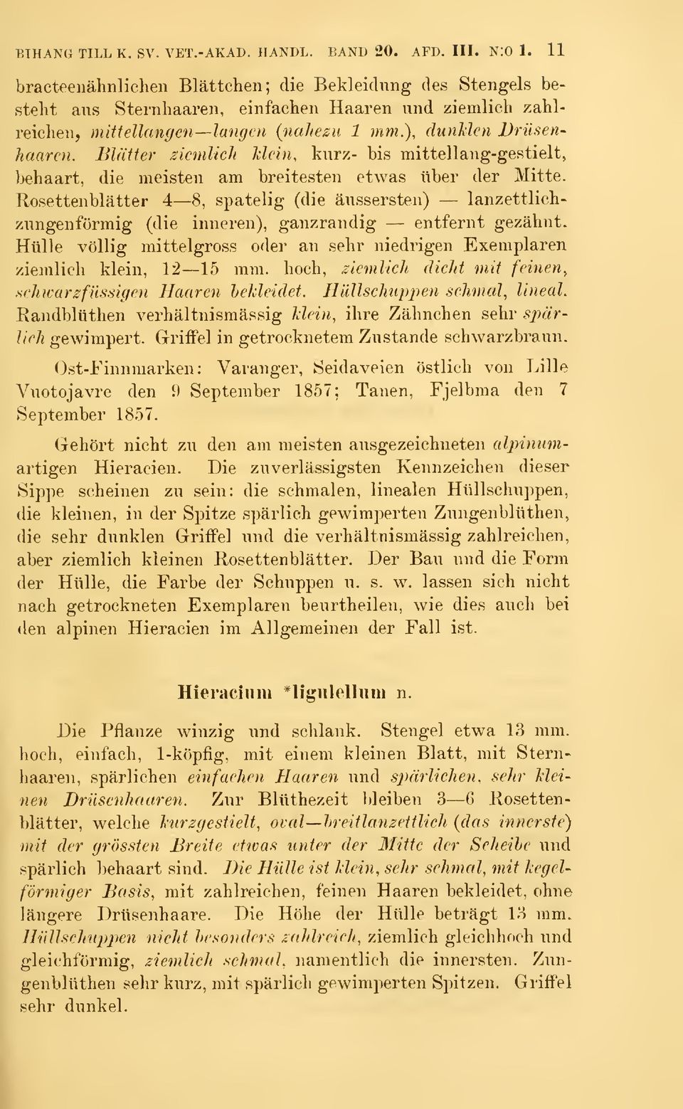 Blätter ziemlich Mein, kiirz- bis mittellang-gestielt, behaart, die meisten am breitesteii etwas iiber der Mitte.