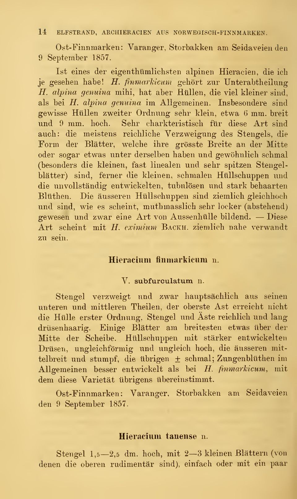 alpina genuina im Allgemeinen. Insbesondere sind gewisse Hullen zweiter Ordnung sehr klein, etwa 6 mm. breit und 9 mm. hoch.