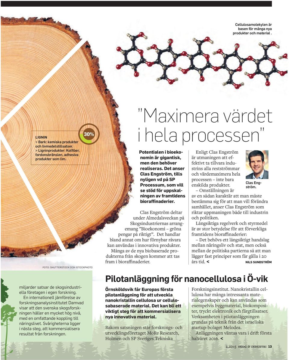 En internationell jämförelse av forskningsanalysinstitutet Damvad visar att den svenska skogsforskningen håller en mycket hög nivå, med en omfattande koppling till näringslivet.