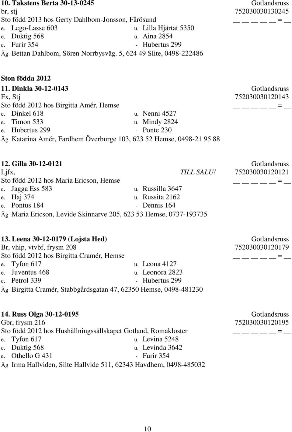 Dinkla 30-12-0143 Gotlandsruss Fx, Stj 752030030120143 Sto född 2012 hos Birgitta Amér, Hemse e. Dinkel 618 u. Nenni 4527 e. Timon 533 u. Mindy 2824 e.