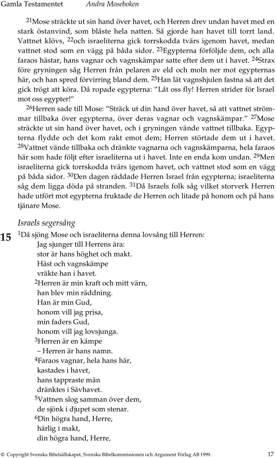 23 Egypterna förföljde dem, och alla faraos hästar, hans vagnar och vagnskämpar satte efter dem ut i havet.