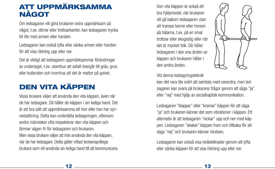 utomhus att asfalt övergår till gräs, grus eller kullersten och inomhus att det är mattor på golvet. den vita käppen Vissa brukare väljer att använda den vita käppen, även när de har ledsagare.