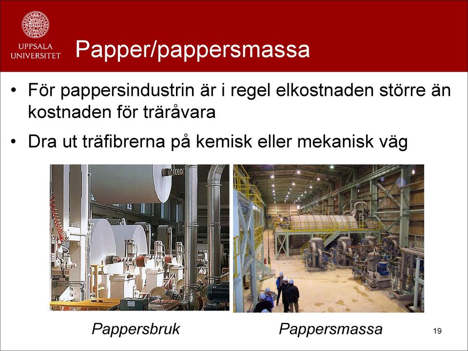 träråvara Dra ut träfibrerna på kemisk
