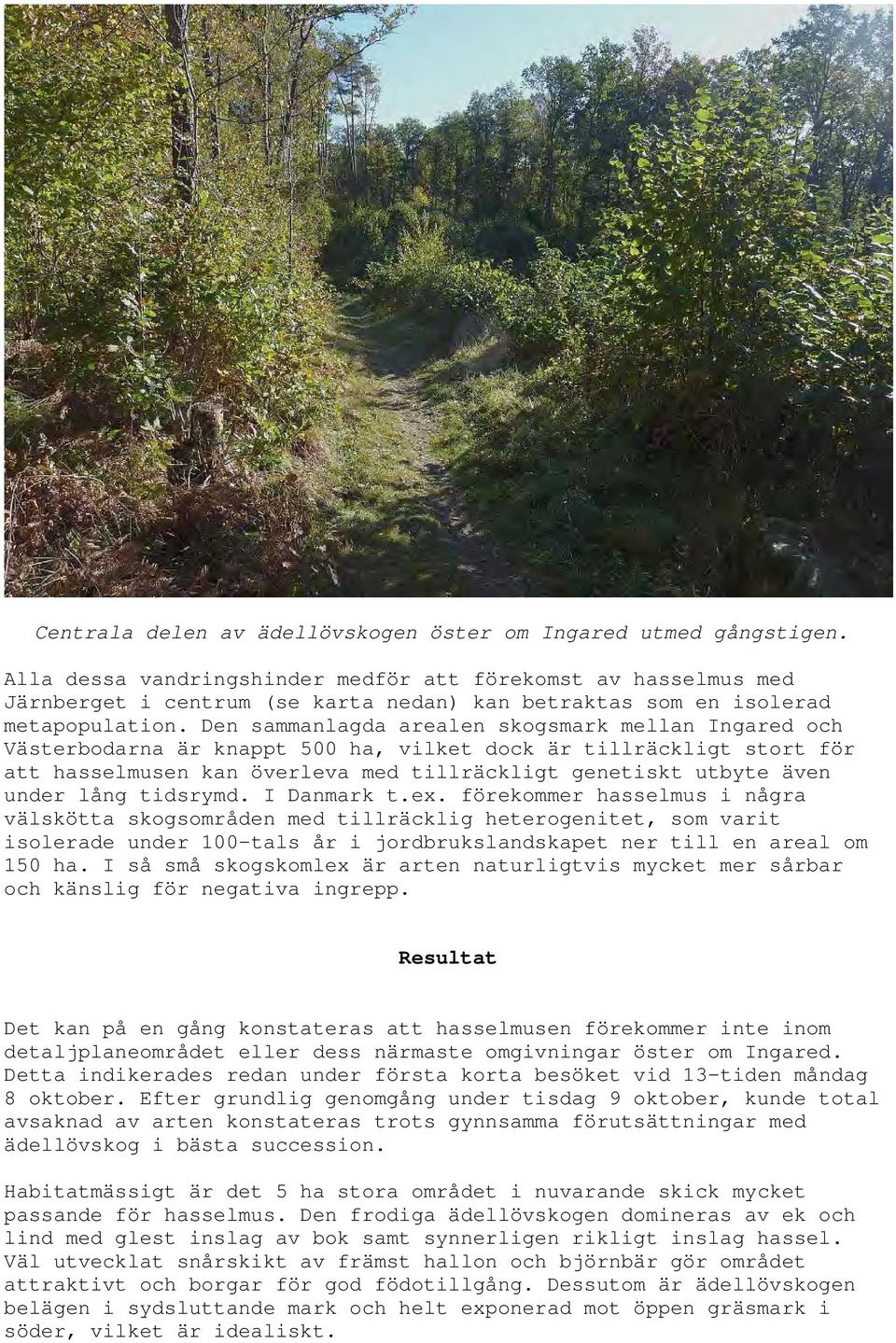 Den sammanlagda arealen skogsmark mellan Ingared och Västerbodarna är knappt 500 ha, vilket dock är tillräckligt stort för att hasselmusen kan överleva med tillräckligt genetiskt utbyte även under