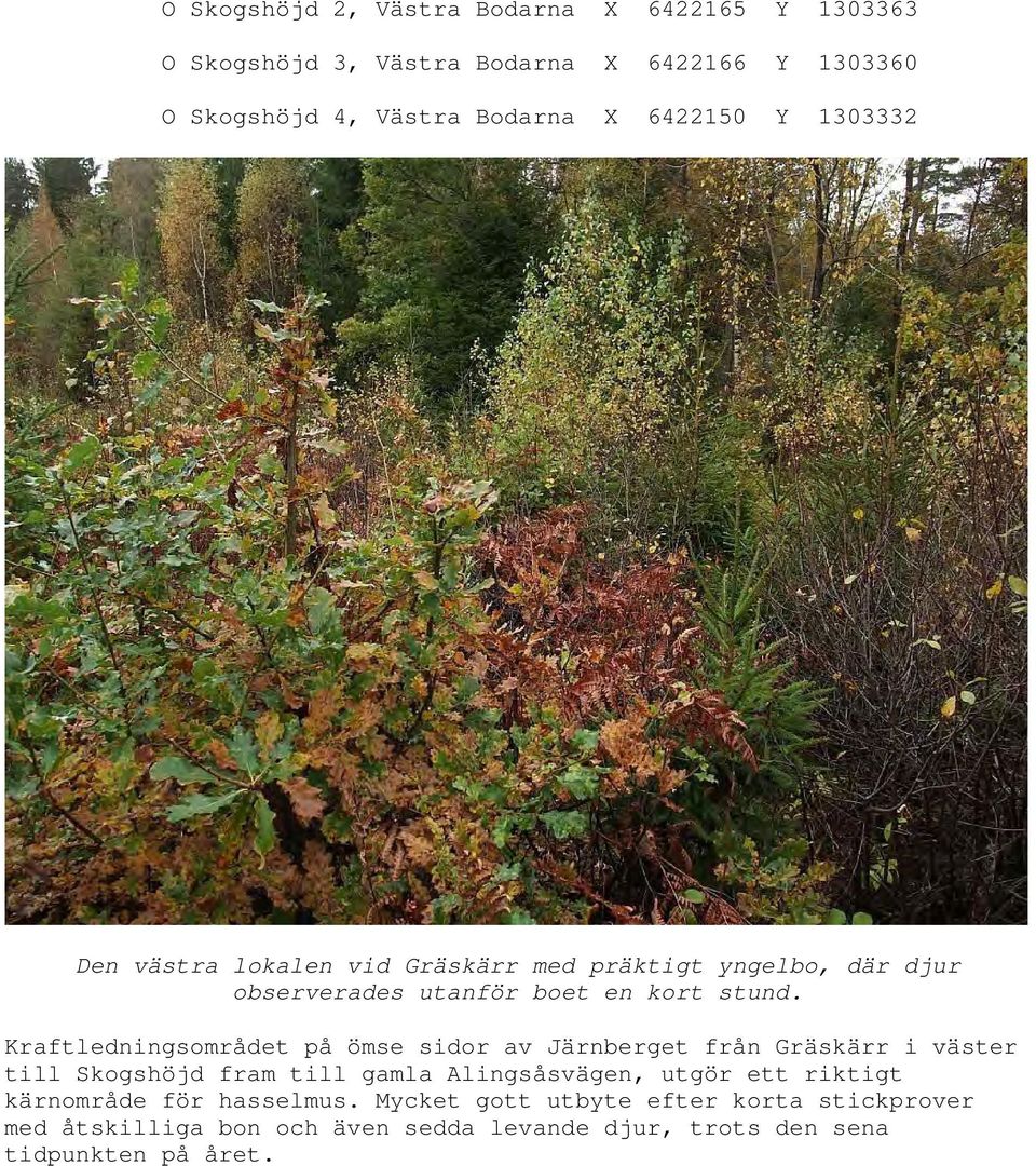Kraftledningsområdet på ömse sidor av Järnberget från Gräskärr i väster till Skogshöjd fram till gamla Alingsåsvägen, utgör ett riktigt