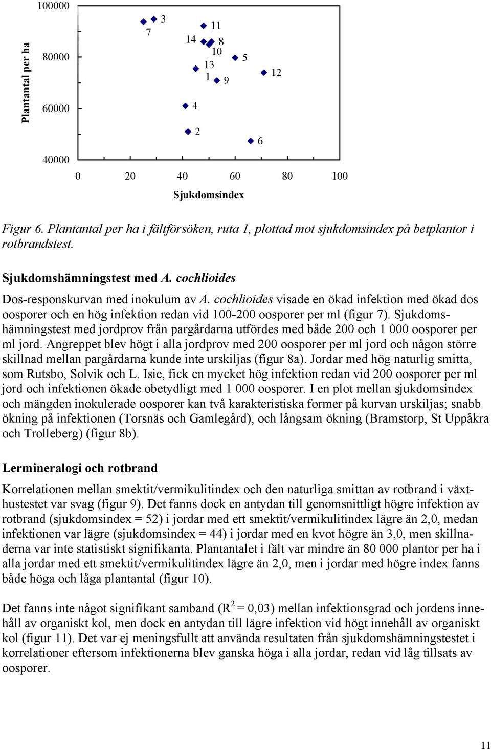 cochlioides visade en ökad infektion med ökad dos oosporer och en hög infektion redan vid 100-200 oosporer per ml (figur 7).