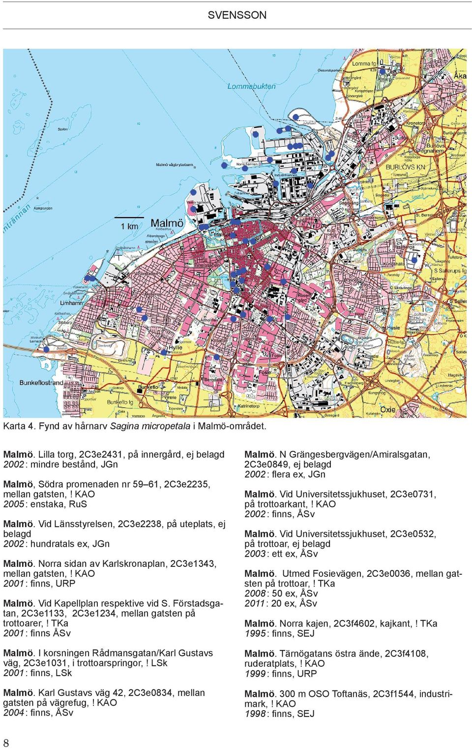KAO 2001 : finns, URP Malmö. Vid Kapellplan respektive vid S. Förstadsgatan, 2C3e1133, 2C3e1234, mellan gatsten på trottoarer,! TKa 2001 : finns ÅSv Malmö.
