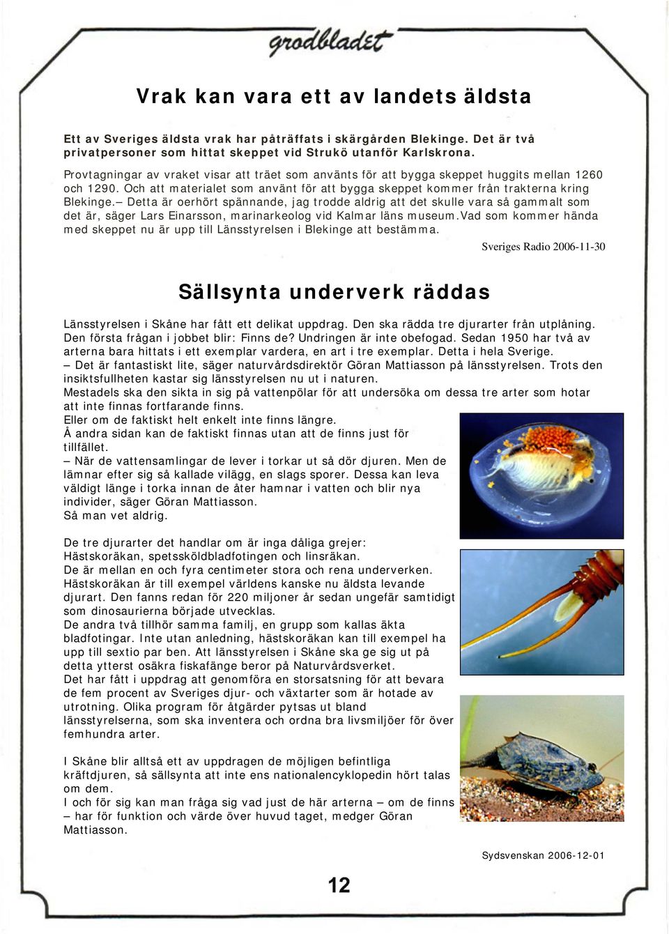 Detta är oerhört spännande, jag trodde aldrig att det skulle vara så gammalt som det är, säger Lars Einarsson, marinarkeolog vid Kalmar läns museum.
