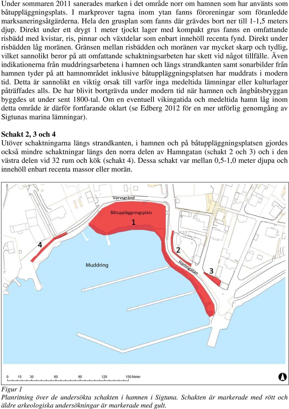 Direkt under ett drygt 1 meter tjockt lager med kompakt grus fanns en omfattande risbädd med kvistar, ris, pinnar och växtdelar som enbart innehöll recenta fynd. Direkt under risbädden låg moränen.