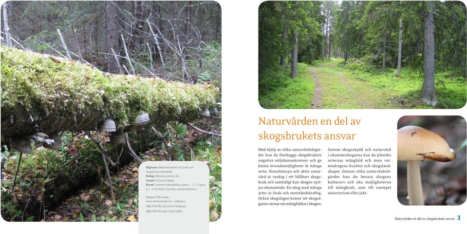 ) ISBN 978-952-6612-66-9 (PDF) Med hjälp av olika naturvårdsåtgärder kan du förebygga skogsbrukets negativa miljökonsekvenser och ge bättre levnadsmöjligheter åt många arter.