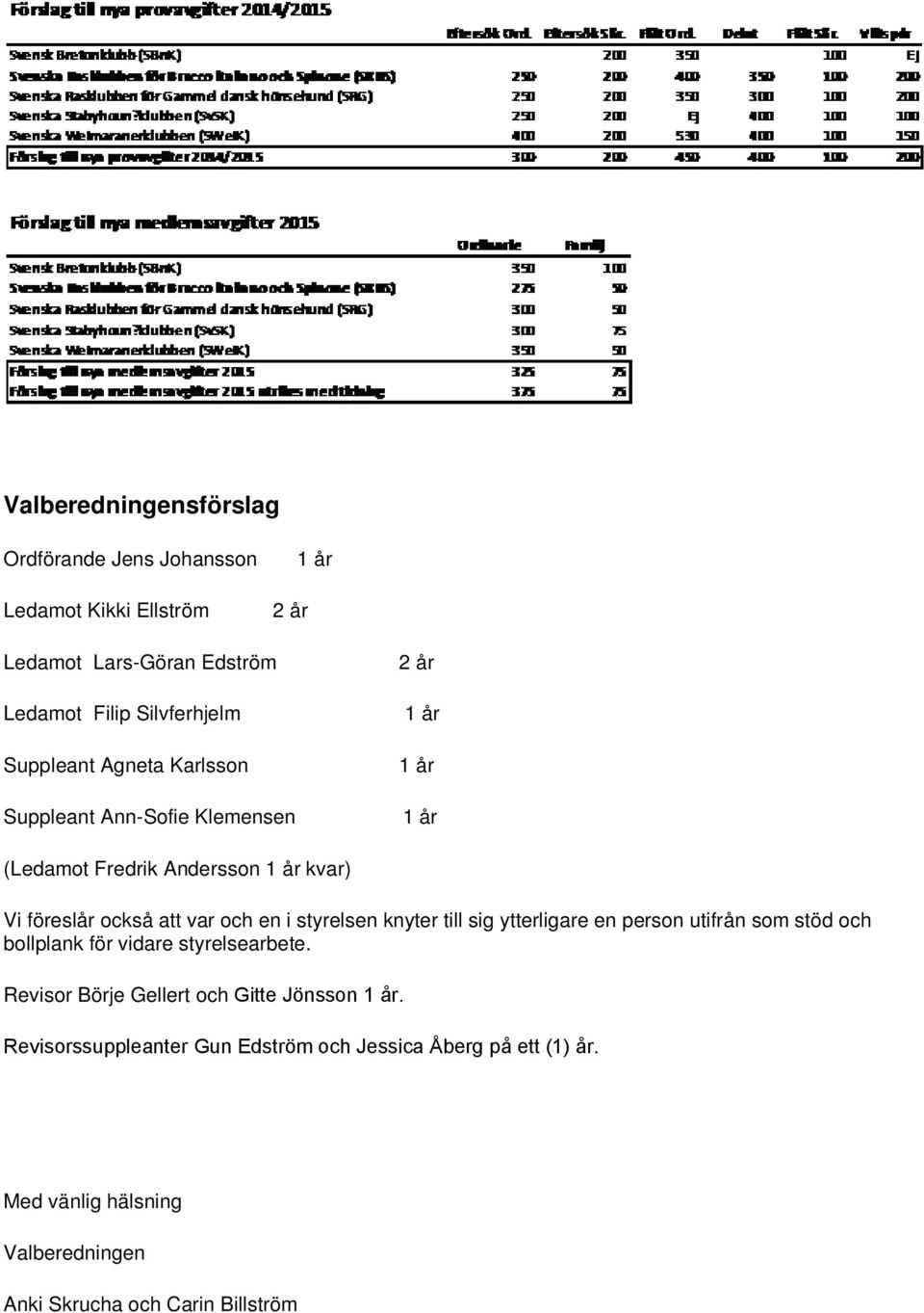 styrelsen knyter till sig ytterligare en person utifrån som stöd och bollplank för vidare styrelsearbete.