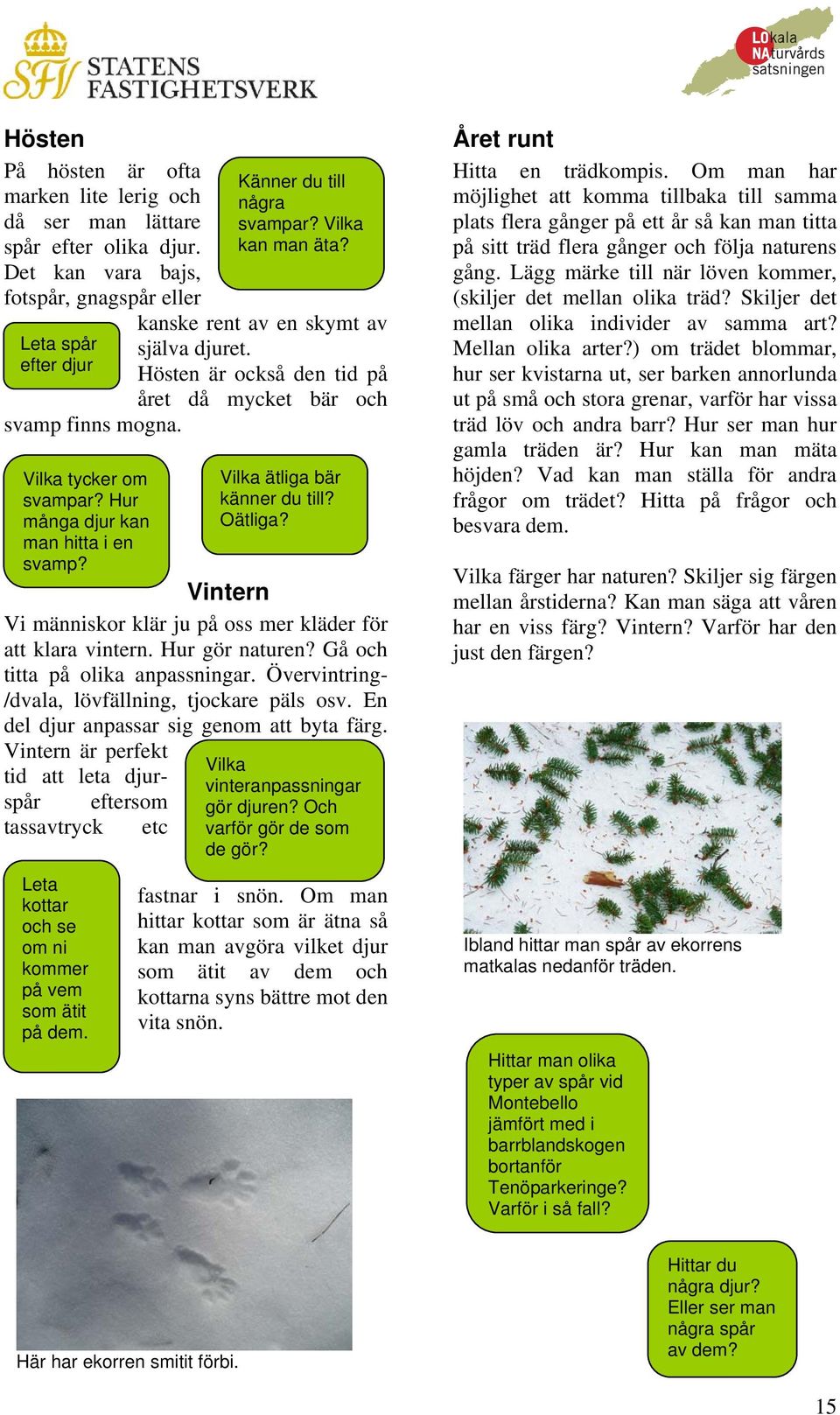 Hösten är också den tid på året då mycket bär och Vintern Vi människor klär ju på oss mer kläder för att klara vintern. Hur gör naturen? Gå och titta på olika anpassningar.