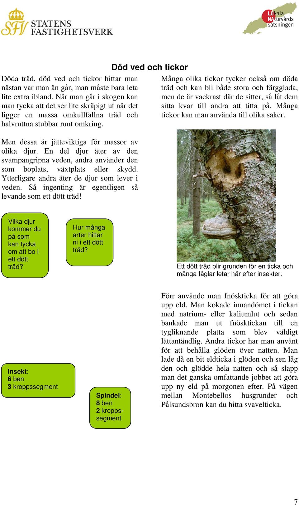 En del djur äter av den svampangripna veden, andra använder den som boplats, växtplats eller skydd. Ytterligare andra äter de djur som lever i veden.