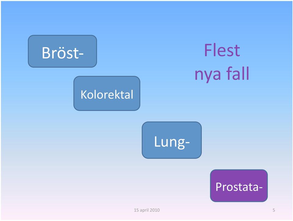 Lung Prostata