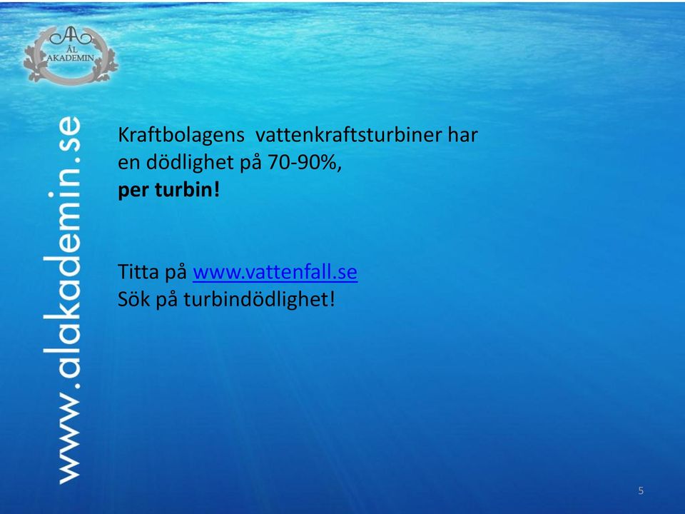 dödlighet på 70-90%, per turbin!