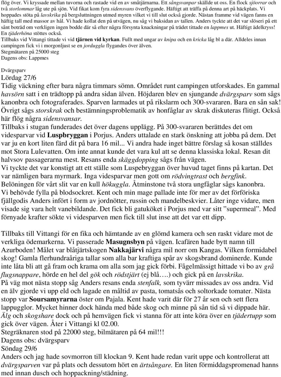 Nästan framme vid vägen fanns en häftig tall med massor av hål. Vi hade kollat den på utvägen, nu såg vi baksidan av tallen.