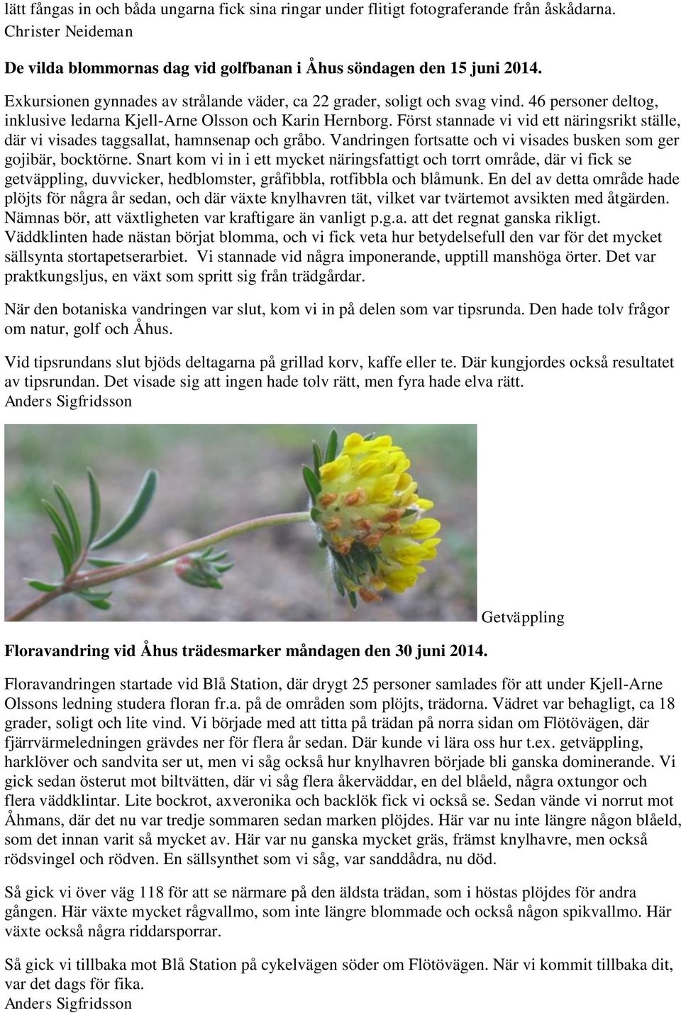 Först stannade vi vid ett näringsrikt ställe, där vi visades taggsallat, hamnsenap och gråbo. Vandringen fortsatte och vi visades busken som ger gojibär, bocktörne.