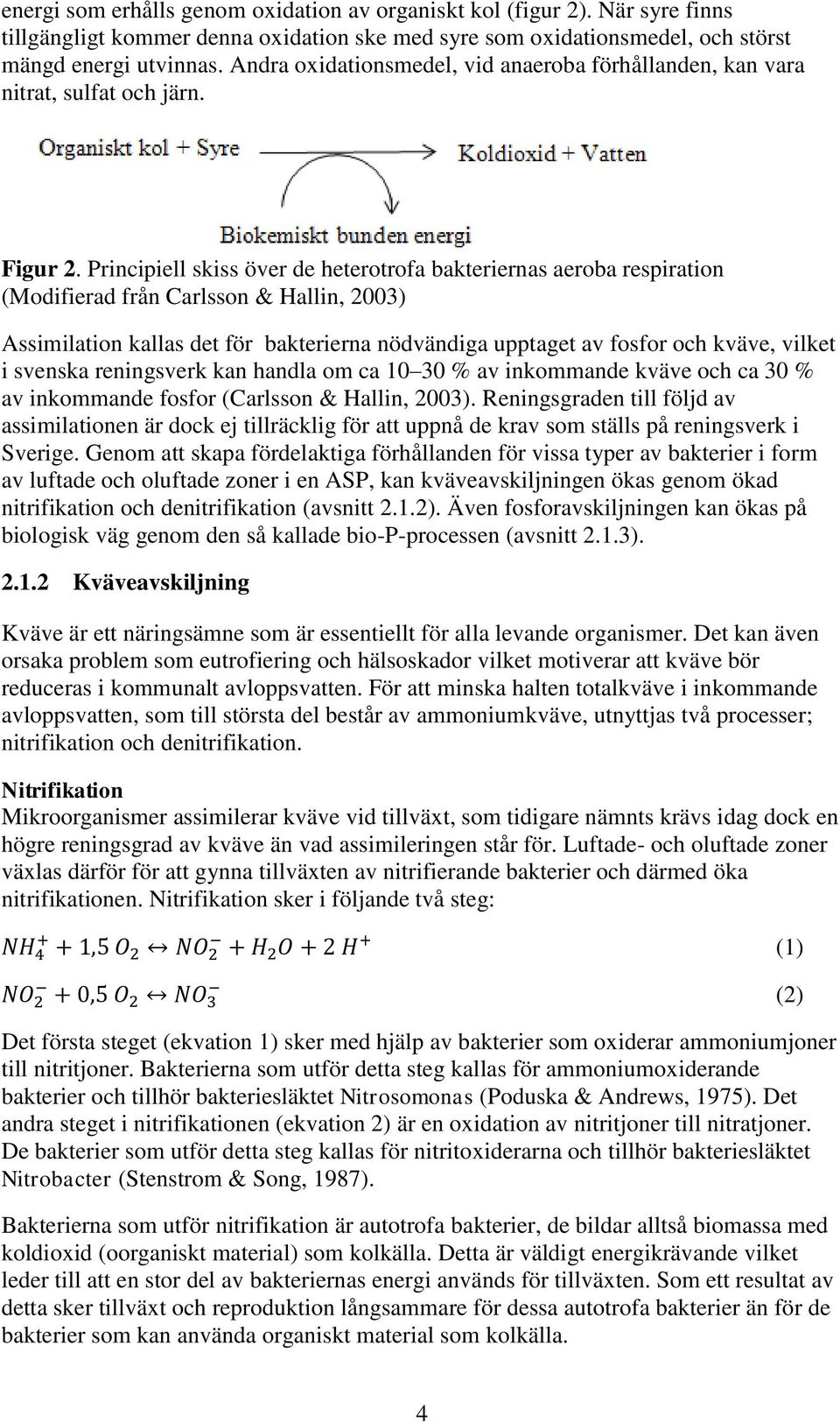 Principiell skiss över de heterotrofa bakteriernas aeroba respiration (Modifierad från Carlsson & Hallin, 2003) Assimilation kallas det för bakterierna nödvändiga upptaget av fosfor och kväve, vilket