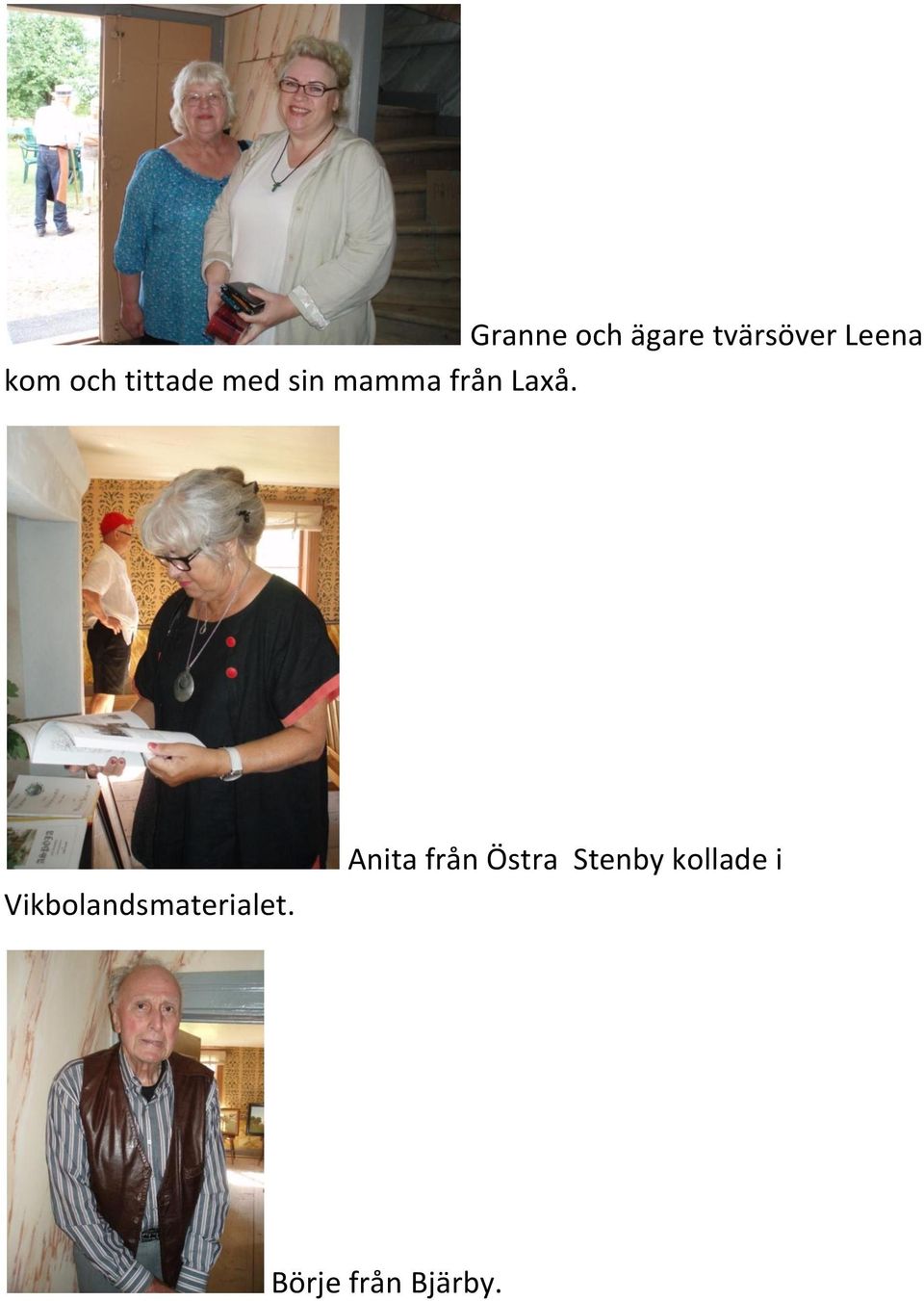 Vikbolandsmaterialet.